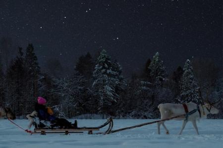 Rendiersledetocht Apukka Resort Rovaniemi 11