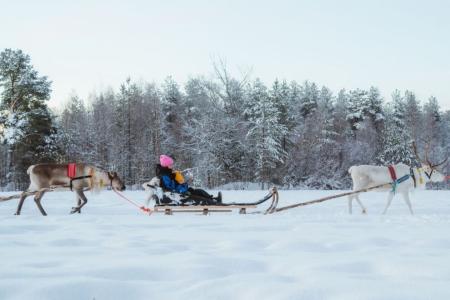 Rendiersledetocht Apukka Resort Rovaniemi 6