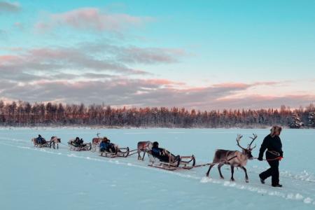 Rendiersledetocht Apukka Resort Rovaniemi 7