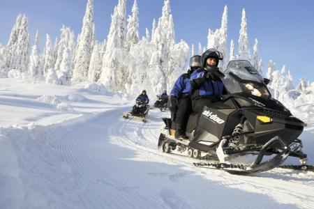 Snowmobile Safari Closeup Cape