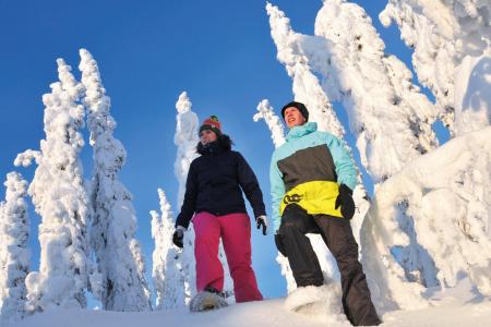 Vuokatti Snowshoe Boswandeling Cape